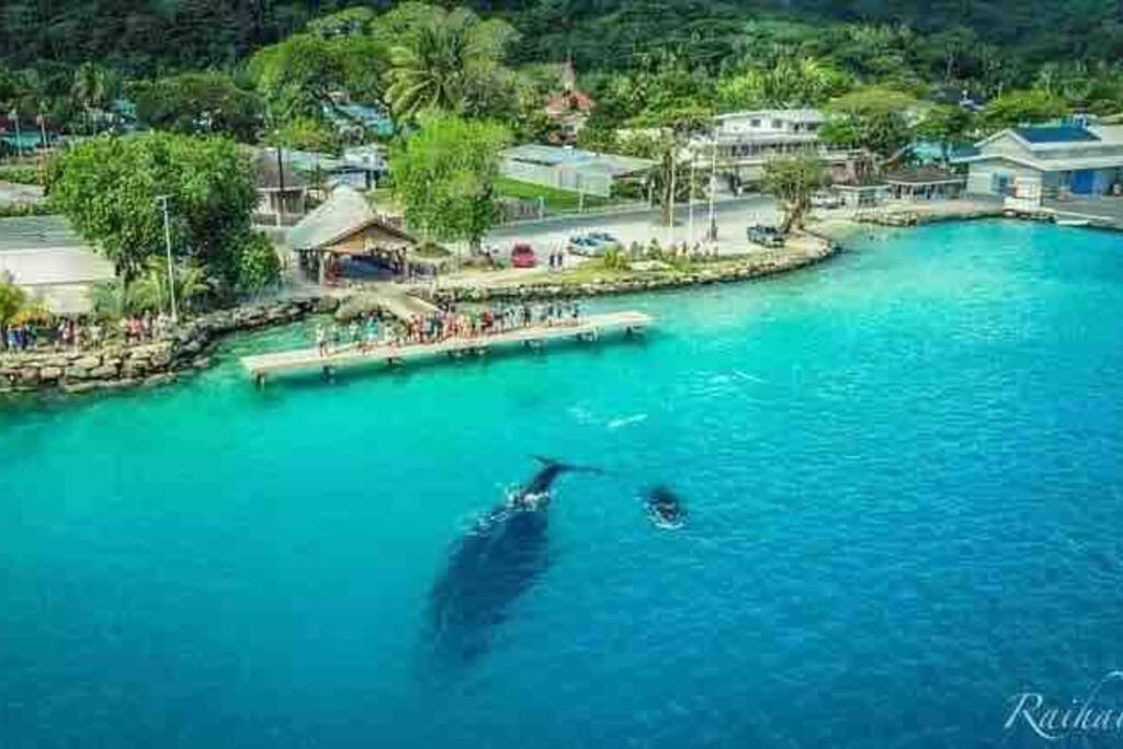 Meri Lodge Huahine Fare Exterior foto